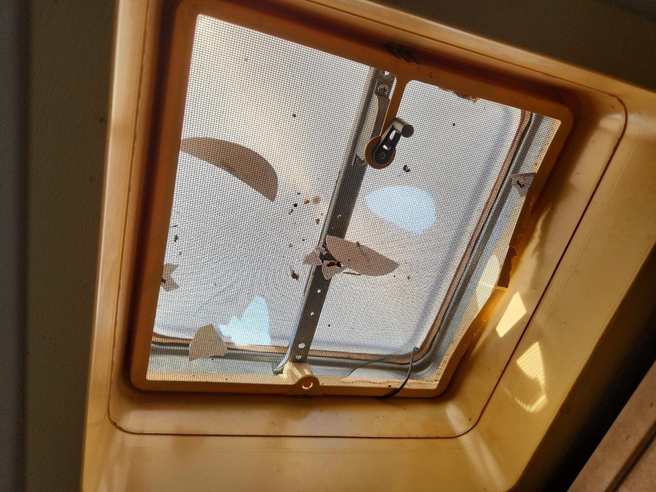 2004 Dutchmen Sport Camper