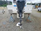 2015 Chinook Custom Boat