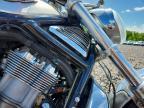 2003 Harley-Davidson Vrsca Anniversary