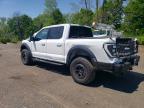 2023 Ford F150 Raptor