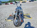 2005 Harley-Davidson Flstci