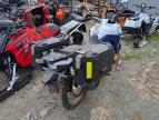 2024 Suzuki DL800DE RC