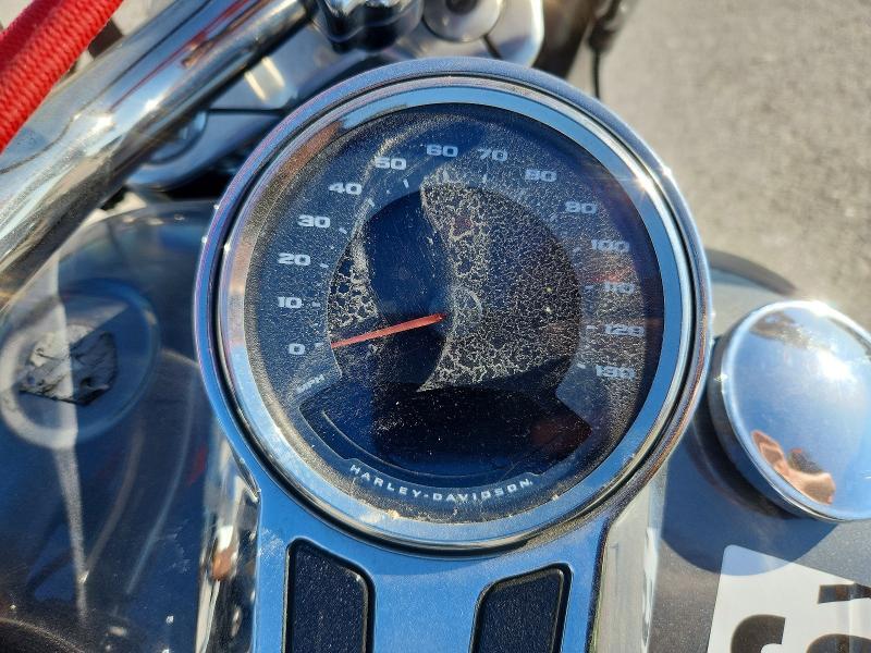 2021 Harley-Davidson Flfbs