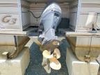2005 Other Suncatcher G3