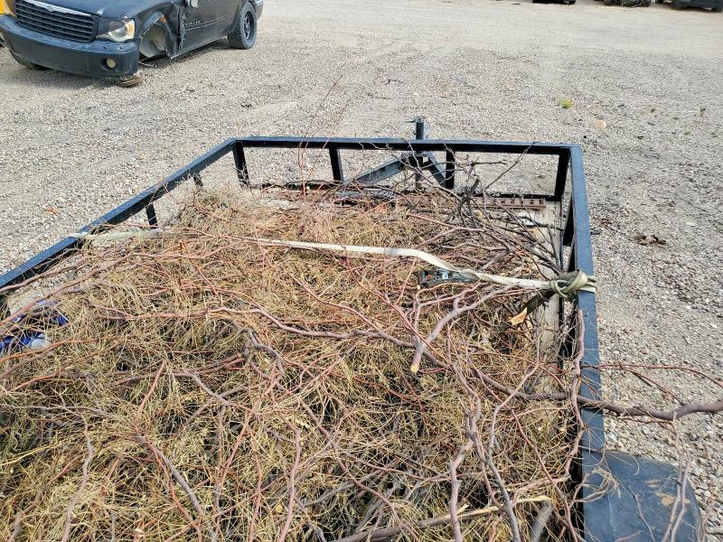 2006 Carson 2001 Carson Utility Trailer