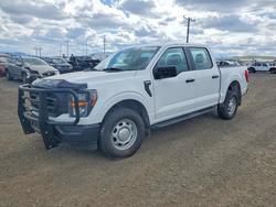Run And Drives Trucks for sale at auction: 2023 Ford F150