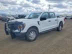 2023 Ford F150