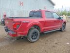 2024 Ford F150 XLT