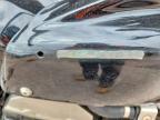 2006 Kawasaki ZR750
