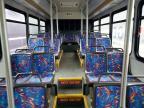 2010 Gillig Transit Bus Low