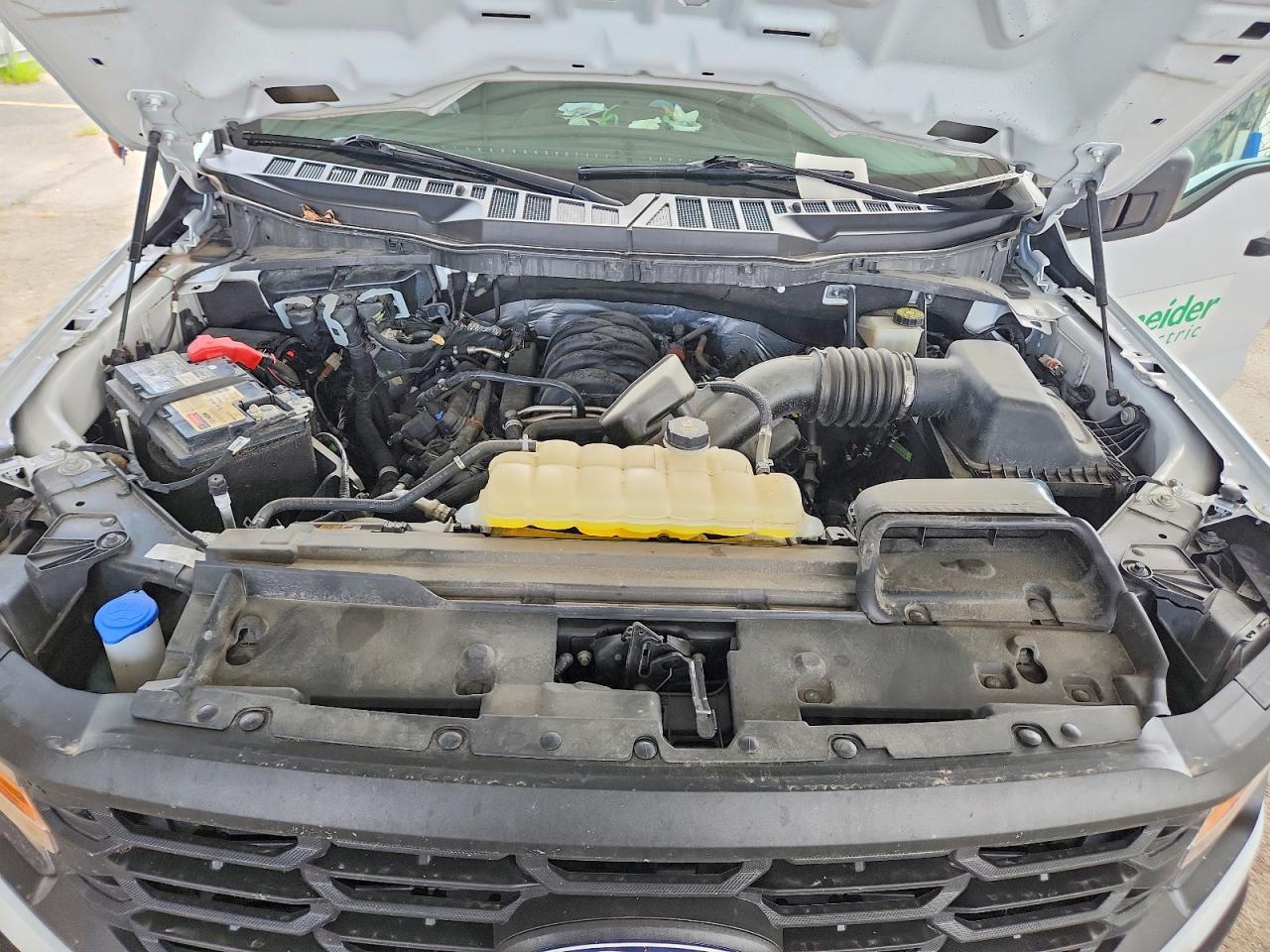 2024 Ford F150 XL
