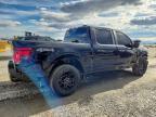 2025 Ford F150 STX