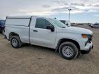 2023 Chevrolet Silverado C1500