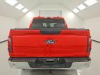 2024 Ford F150 XL