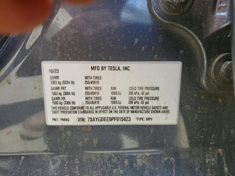 2023 Tesla Model y