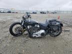 2025 Harley-Davidson Fxbb