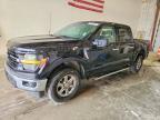 2025 Ford F150 XLT