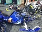 2024 Yamaha Sidewinder LTX LE EPS