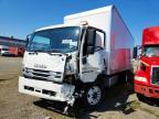 2024 Isuzu FTR BOX Truck