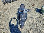 2012 Genuine Scooter Co. Buddy 125