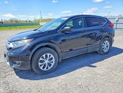 Honda crv Vehiculos salvage en venta: 2019 Honda Cr-v ex