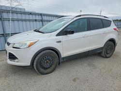 Ford Escape salvage cars for sale: 2015 Ford Escape se