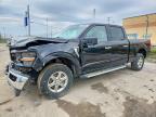 2024 Ford F150 XLT