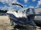 2012 Everglades Trident