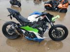 2024 Kawasaki EX500 H
