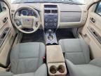 2010 Ford Escape xls
