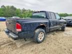 2001 Dodge Dakota Quattro