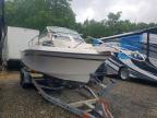 1992 Grand Harbour 1992 Grady White 245 Explorer-Boat