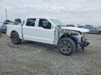 2025 Ford F150 STX
