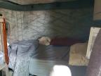 2013 Freightliner CASCAIA125