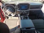 2025 Ford F150 XLT