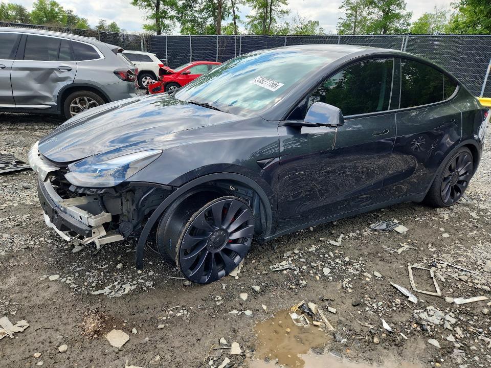 2024 Tesla Model y