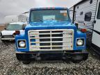 1980 International Truc