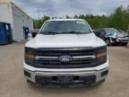 2024 Ford F150 XLT