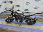 2024 Triumph Trident 660