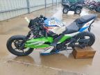 2024 Kawasaki EX500 H