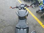 2023 Aprilia Tuono 660 Factory