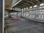 2021 Wilson Trailer 2021 Wilson PSDCL-402 Livestock Trailer