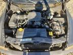 2004 Dodge Dakota Quad Sport