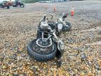 2021 Harley-Davidson Fxst