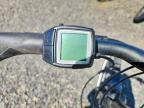 2020 Bike Trek