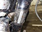 2007 Harley-Davidson XL883 C
