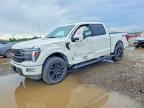2025 Ford F150 Platinum