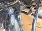 2021 Harley-Davidson Fltrxs