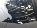 2024 Cf Moto Papio SS