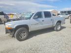 2001 Dodge Dakota Quattro